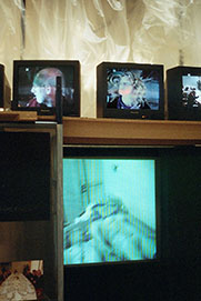 “Much to much” izložba fotografija, Pokop grofa Orgaza, video-instalacija,  s D.Friščićem I F.Rogićem) Umjetnićki paviljon, Zagreb, 2003.