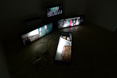 Trailer teaser Medusa, (s Dankom Friščićem) instalacija, galerija Nano, 2012.